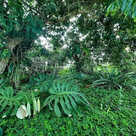 Flat Em Serra Negra - Bezerros Esterno foto